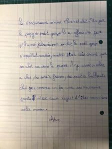 adam (002)