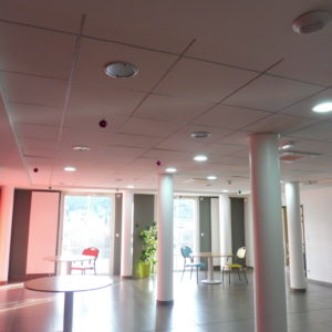 P1040232