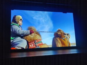 IMG_20231117_142402